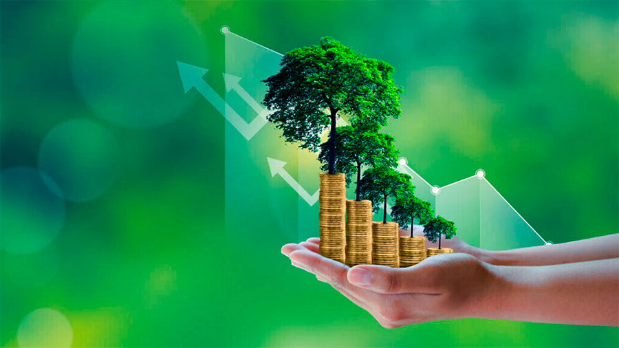 eco-friendly practices